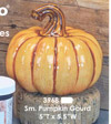 Small Pumpkin
