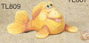 Baby Fish