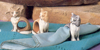 Cat Napkin Ring