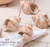 Shell Napkin Rings