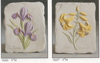 Iris & Lily Plaque
