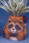 Racoon Pot